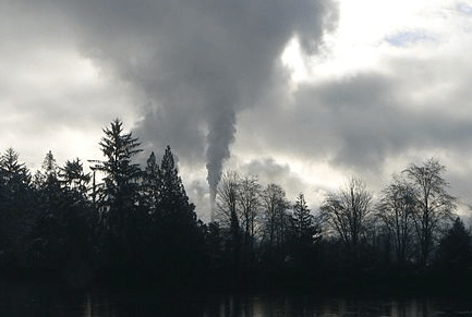 What is Canada doing about&nbsp;BPA?