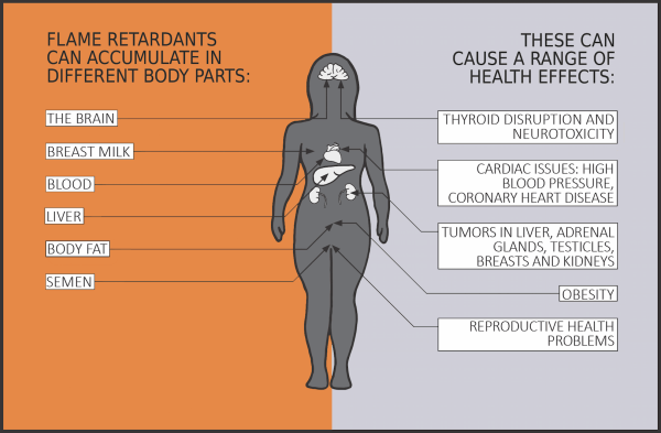 What Are Endocrine Disrupting Chemicals? | Endocrine Disruptors Action ...